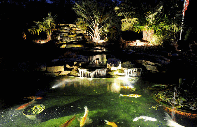 Capture night time magic with the addition of quality underwater lighting