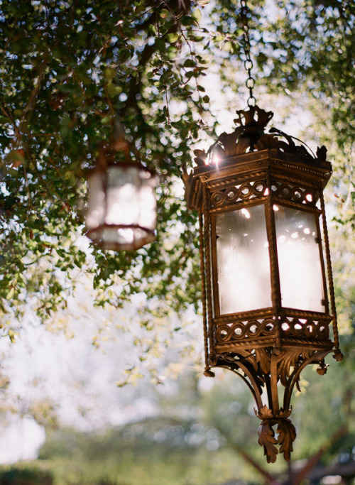 Create A Secret Garden With Hanging Tree Lights